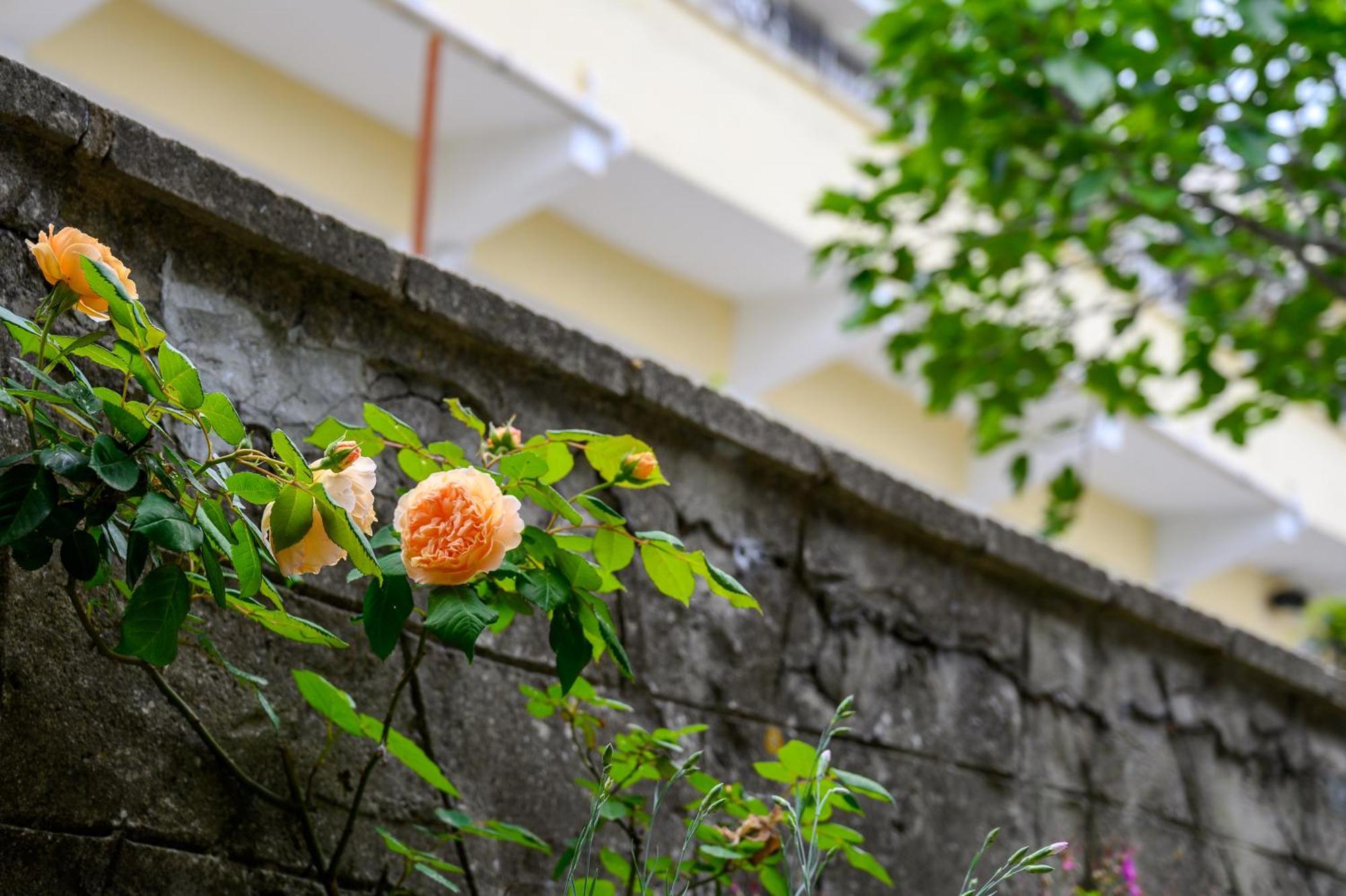 Effect Saint Mina Hotel Sozopol Exterior foto